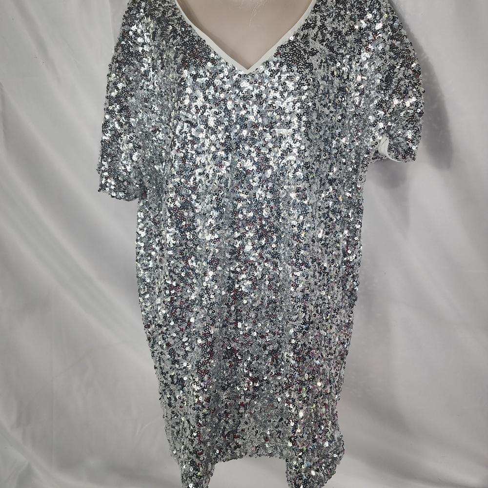 Magnolia Silver Sequin Mini Dress
